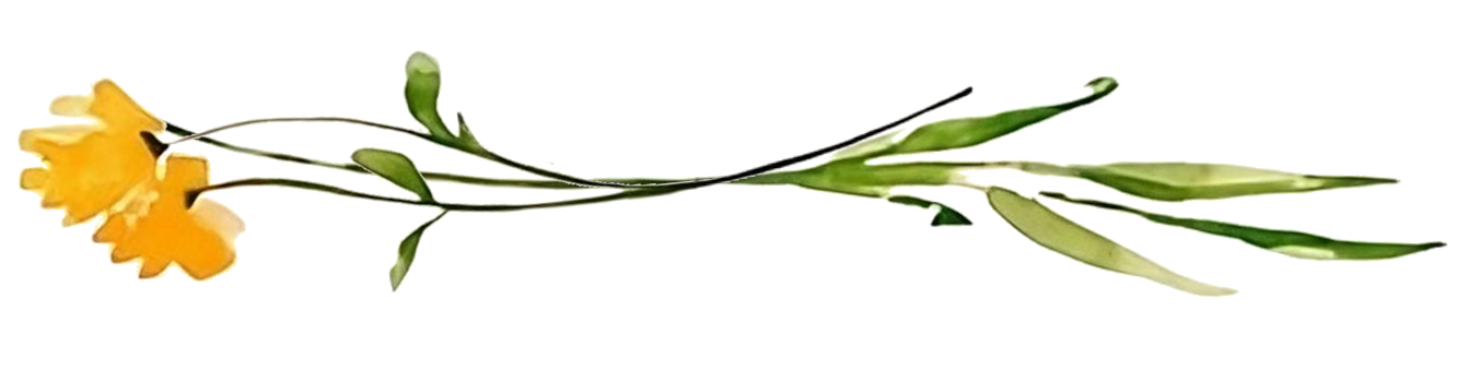 blomster