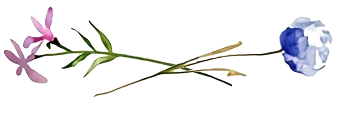 blomster